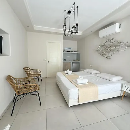 招待所 Naxos Oceamo Naxos City