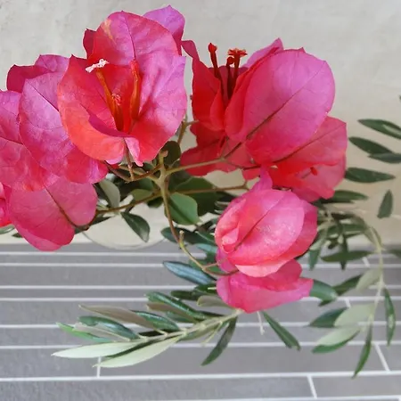 Maison d'hôtes Naxos Oceamo