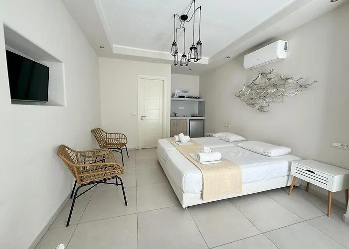 בית הארחה Naxos Oceamo Naxos City