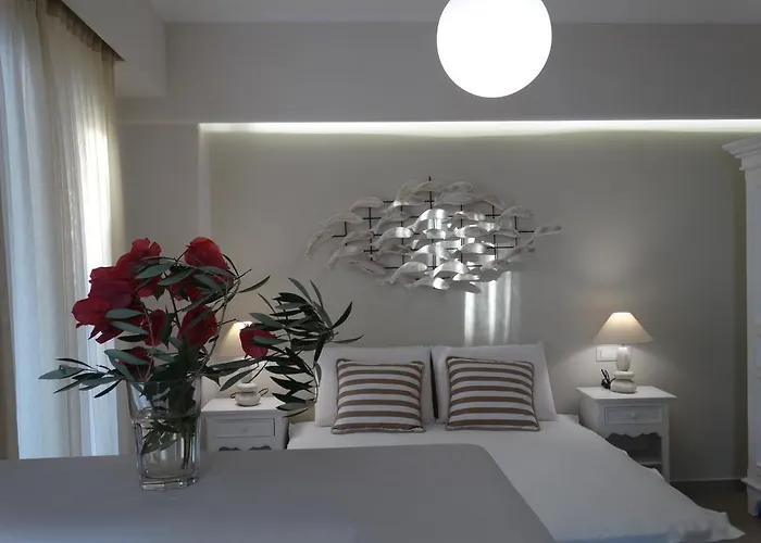 בית הארחה Naxos Oceamo Naxos City