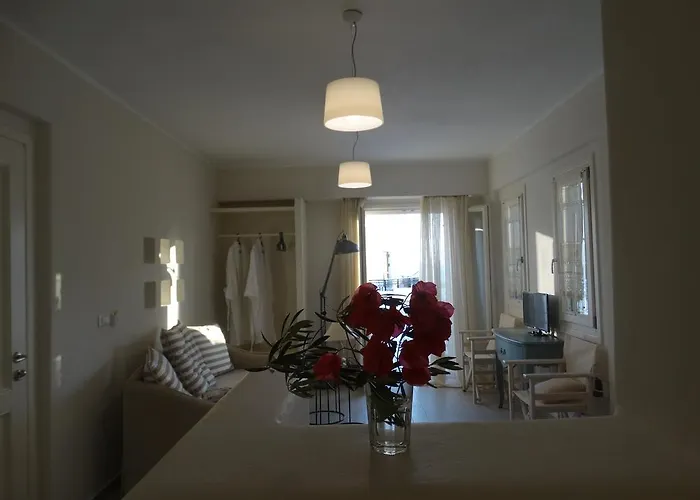 בית הארחה Naxos Oceamo